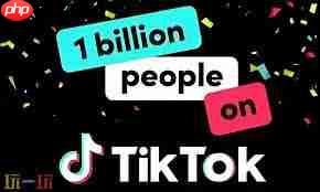 Tiktok国际版官网址是什么