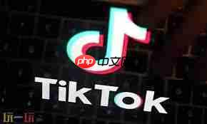 Tiktok国际版官网址是什么