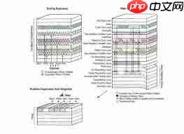 撕拉片和拍立得成像有什么区别