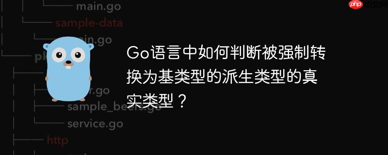 go语言中如何判断被强制转换为基类型的派生类型的真实类型？