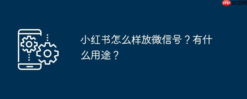 小红书怎么样放微信号？有什么用途？