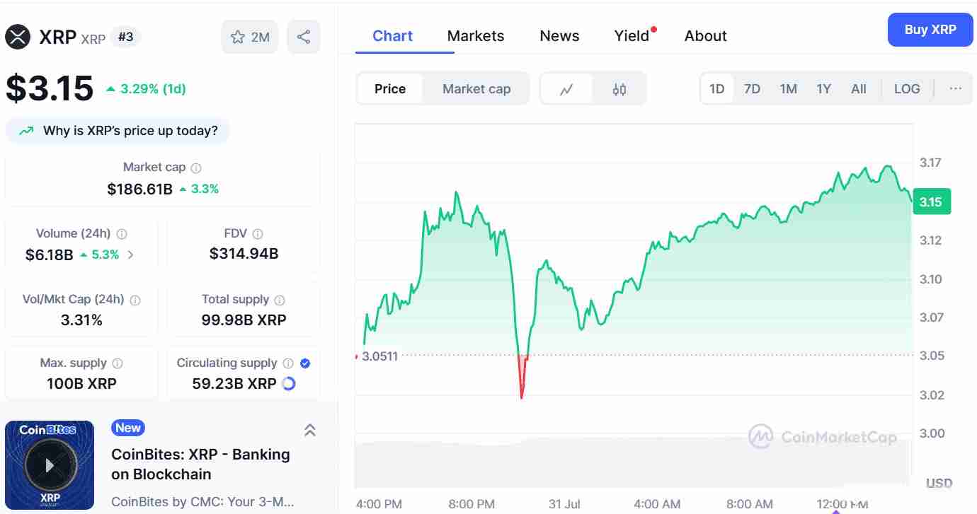 XRP币月度收盘价突破3.03 美元，未来价格如何？XRP 价格预测 2025-2030年