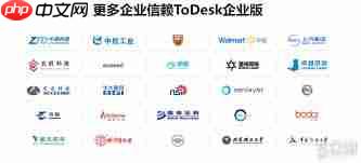 国内顶尖远程控制软件有哪些