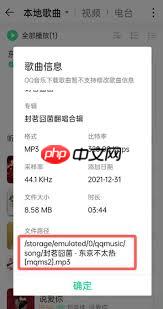 手机QQ音乐下载的歌曲本地为何找不到