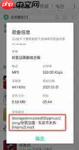 手机QQ音乐下载的歌曲本地为何找不到