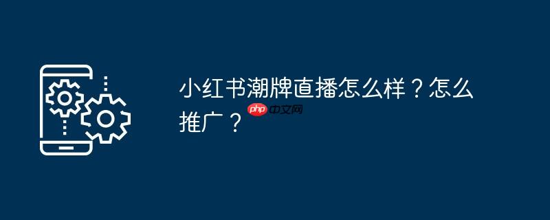 小红书潮牌直播怎么样？怎么推广？