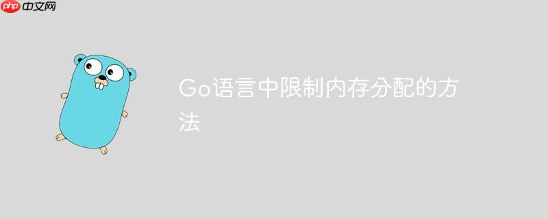 go语言中限制内存分配的方法
