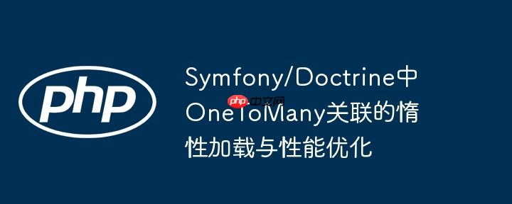 symfony/doctrine中onetomany关联的惰性加载与性能优化