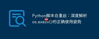 Python脚本自重启：深度解析os.execv()的正确使用姿势