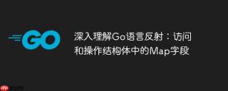 深入理解Go语言反射：访问和操作结构体中的Map字段