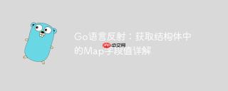 Go语言反射：获取结构体中的Map字段值详解