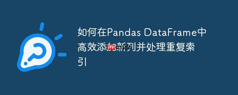 如何在Pandas DataFrame中高效添加新列并处理重复索引