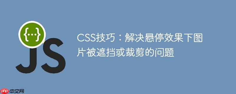 CSS技巧:解决悬停效果下图片被遮挡或裁剪的问题