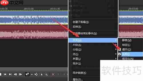 Vegas Pro 15轻松去除人声