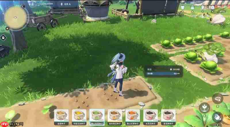 蓝色星原旅谣配置要求有哪些 不同设备配置推荐