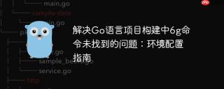 解决Go语言项目构建中6g命令未找到的问题：环境配置指南