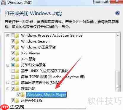 如何开启Windows Media Player