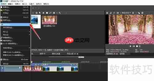 VEGAS Pro视频插入图片教程
