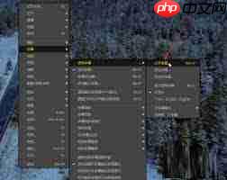 potplayer如何倍速播放 potplayer如何导入字幕
