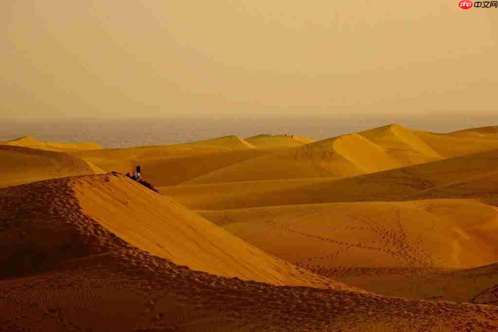 一亿次连接背后,藏着一份独特的「温度」