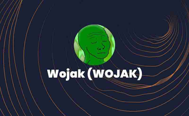 Wojak(WOJAK币)是什么？值得投资吗？关于WOJAK币的全面指南