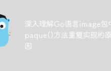 深入理解Go语言image包中Opaque()方法重复实现的原因