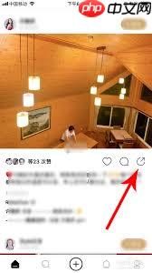 绿洲怎么保存图片