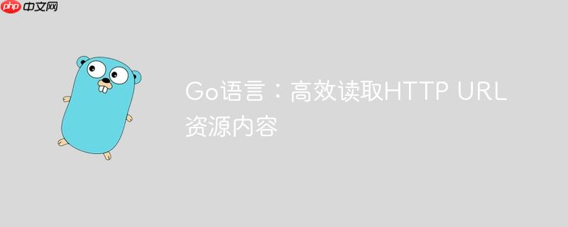 Go语言：高效读取HTTP URL资源内容
