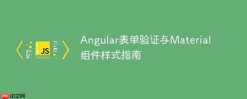 Angular表单验证与Material组件样式指南