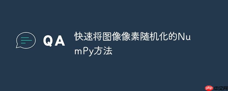 快速将图像像素随机化的numpy方法