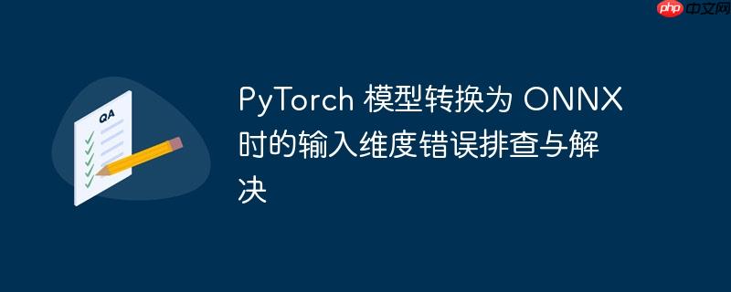 pytorch 模型转换为 onnx 时的输入维度错误排查与解决
