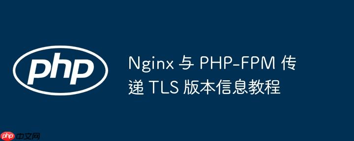 nginx 与 php-fpm 传递 tls 版本信息教程