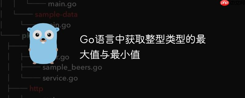 go语言中获取整型类型的最大值与最小值