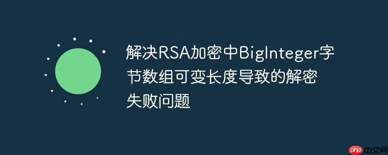 解决RSA加密中BigInteger字节数组可变长度导致的解密失败问题-小浪学习网