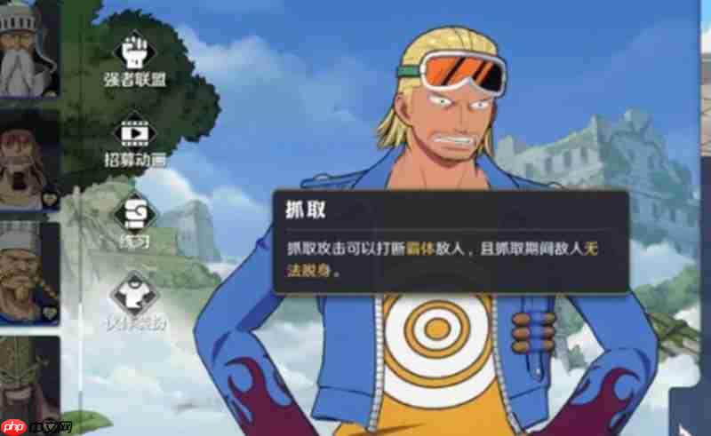 航海王壮志雄心巴利怎么玩 巴利技能连招搭配攻略