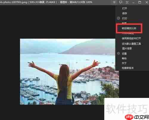 看图软件如何锁定缩放比例