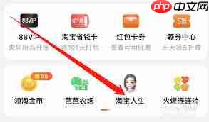 如何加入淘宝人生