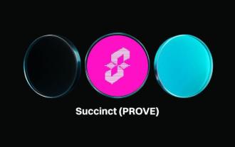 What is Succinct (PROVE Coin)? How to operate? PROVE Token Economy and Price Forecast
