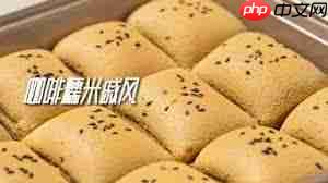 按照小红书做司康效果如何