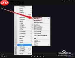 kmplayer plus如何导入字幕