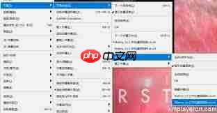 kmplayer plus如何导入字幕