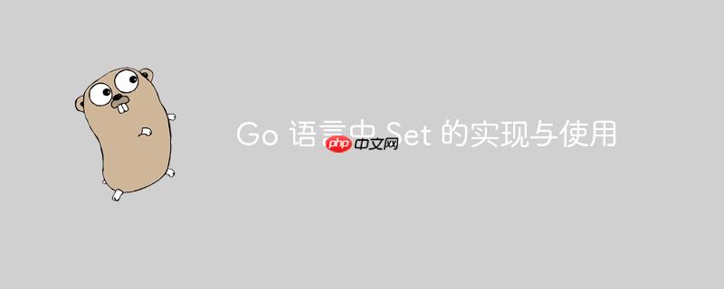 go 语言中 set 的实现与使用