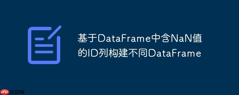基于DataFrame中含NaN值的ID列构建不同DataFrame-小浪学习网