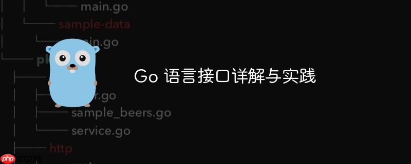 Go 语言接口详解与实践