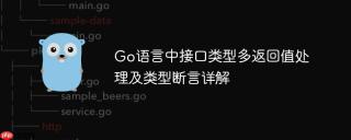 Go语言中接口类型多返回值处理及类型断言详解