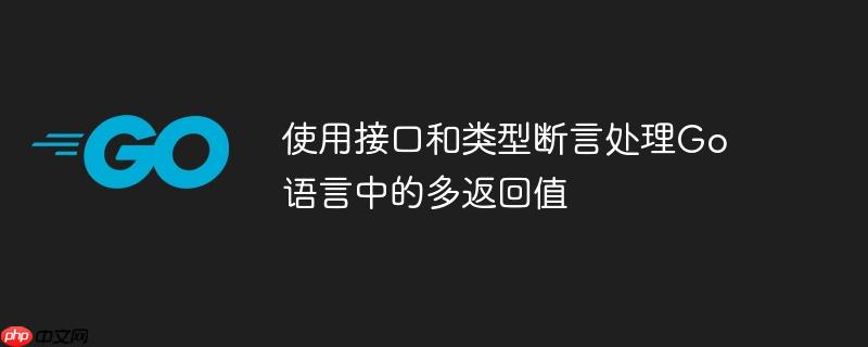 使用接口和类型断言处理go语言中的多返回值
