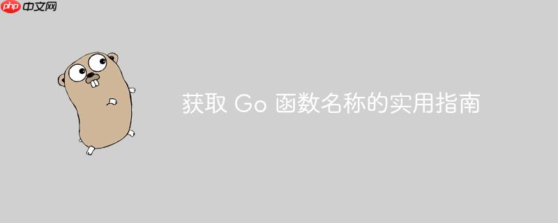 获取 go 函数名称的实用指南