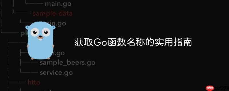 获取go函数名称的实用指南