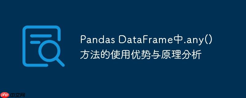 Pandas DataFrame中.any()方法的使用优势与原理分析
