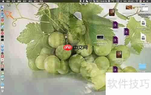 Total Video Converter Pro for Mac 使用教程